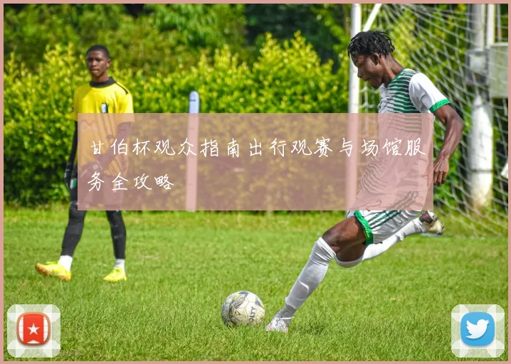 甘伯杯观众指南出行观赛与场馆服务全攻略